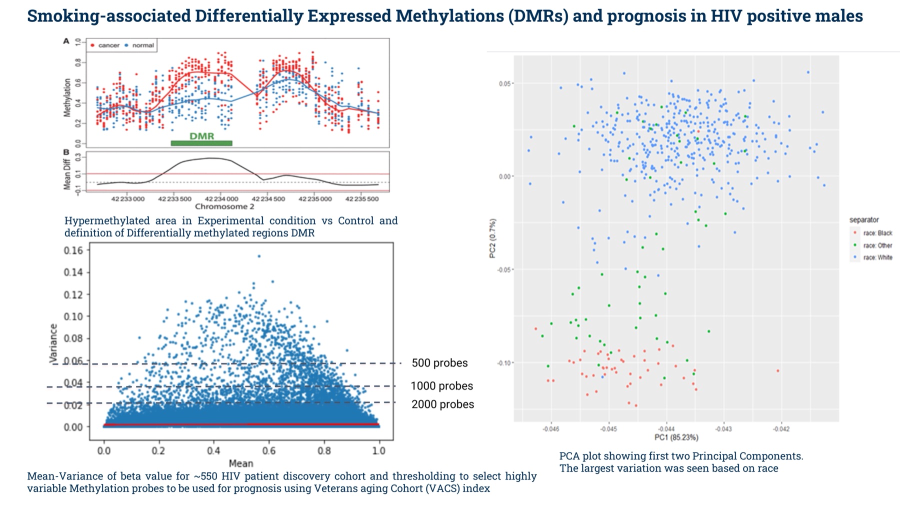 Differentially methylated regions and survival modelling results for an HIV cohort