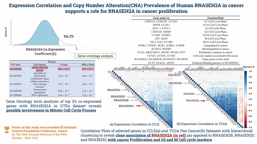 RNASEH2A across 35+ cancers