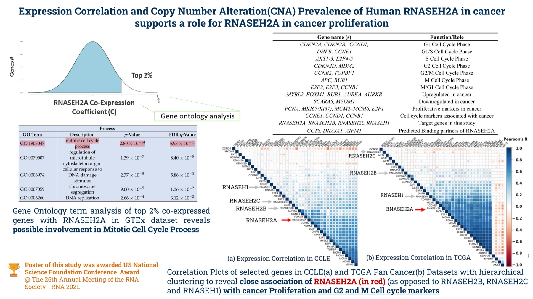 Expression correlation heatmaps of RNASEH2A against proliferation and cell cycle markers